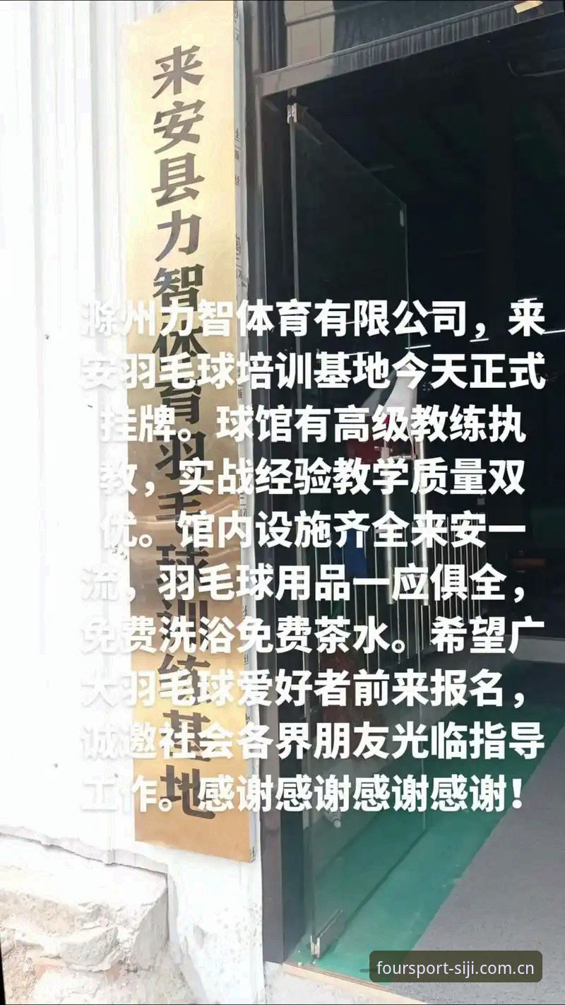 技术评测：资深用户分享最新四季体育安卓版的使用心得与实战经验
